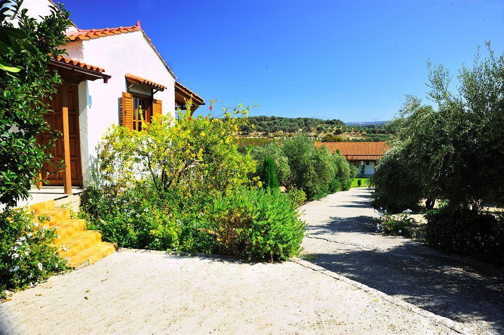 Lefkothea Villas With Large Pool, Bbq & Playground Adelianos Kampos Extérieur photo
